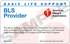 Basic Life Support (BLS) Course, AHA BLS Course