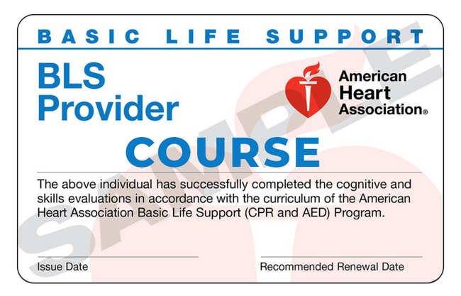 AHA BLS COURSE