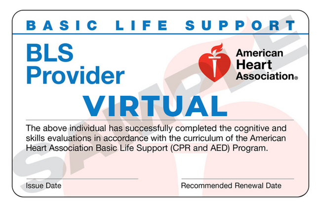 AHA BLS VIRTUAL