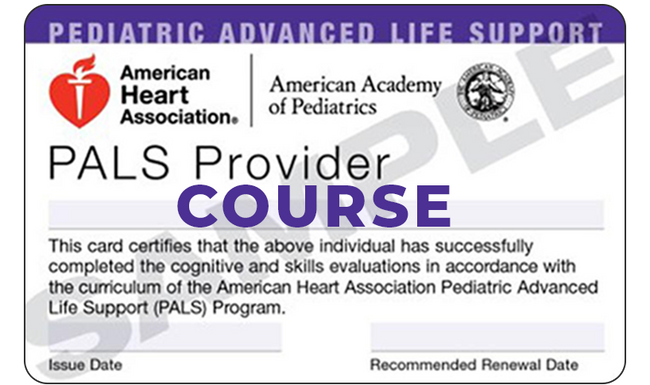 AHA PALS COURSE